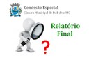 Relatório Final de Comissão Especial Relatório Final de Comissão Especial