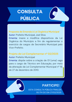 Consulta Pública